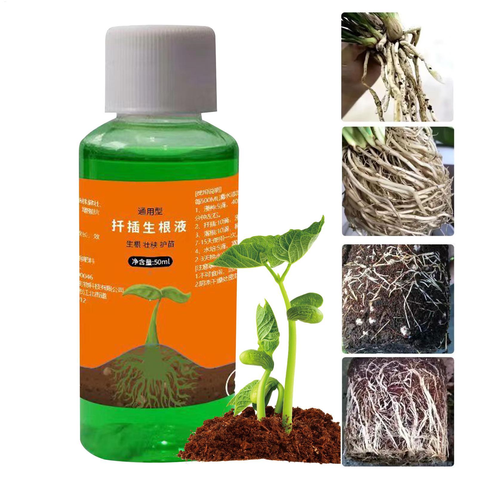 Root Stimulator Liquid - Solução nutritiva para transplante de 50ml,