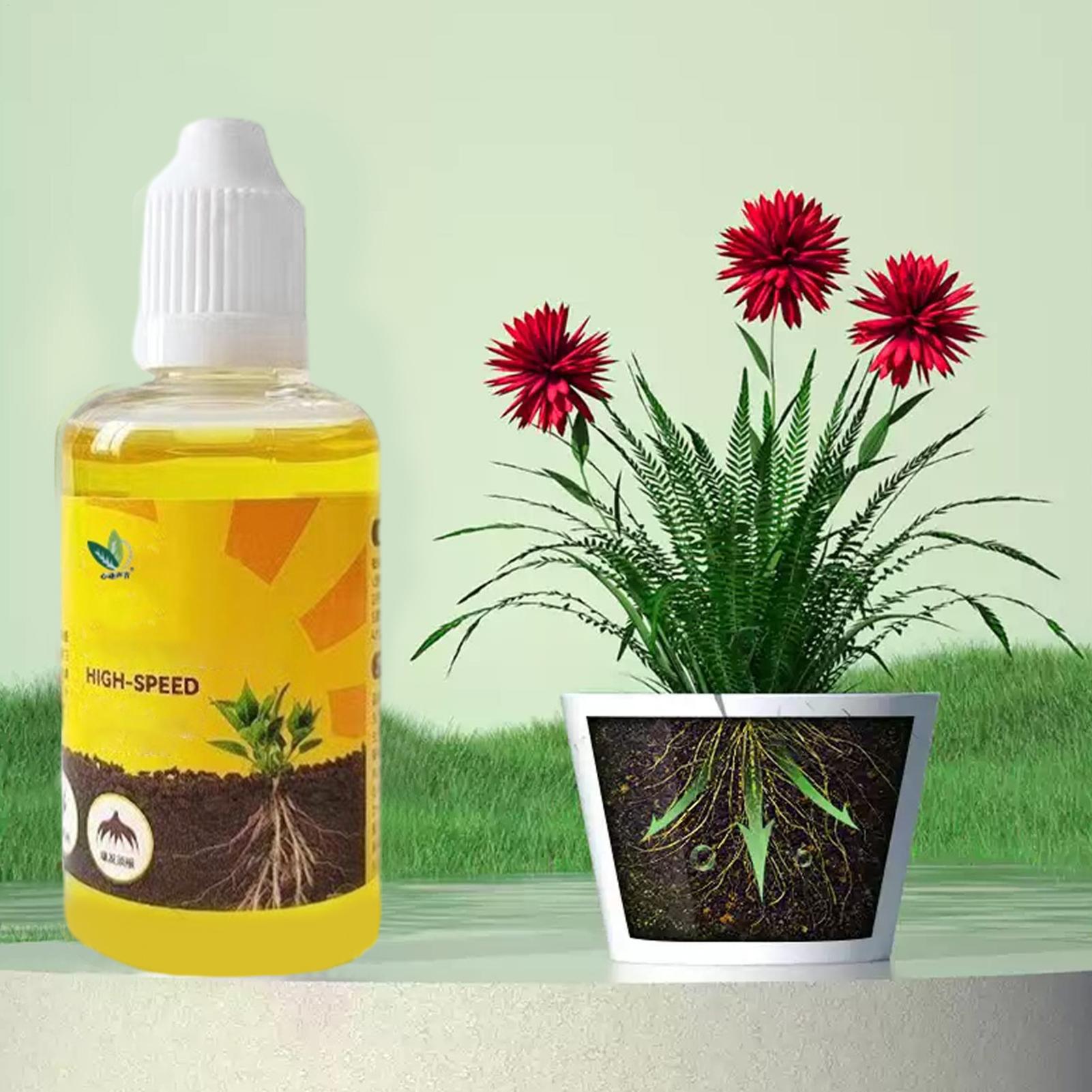 Root Stimulator Liquid - Solução de Enraizamento Rápido para Plantas