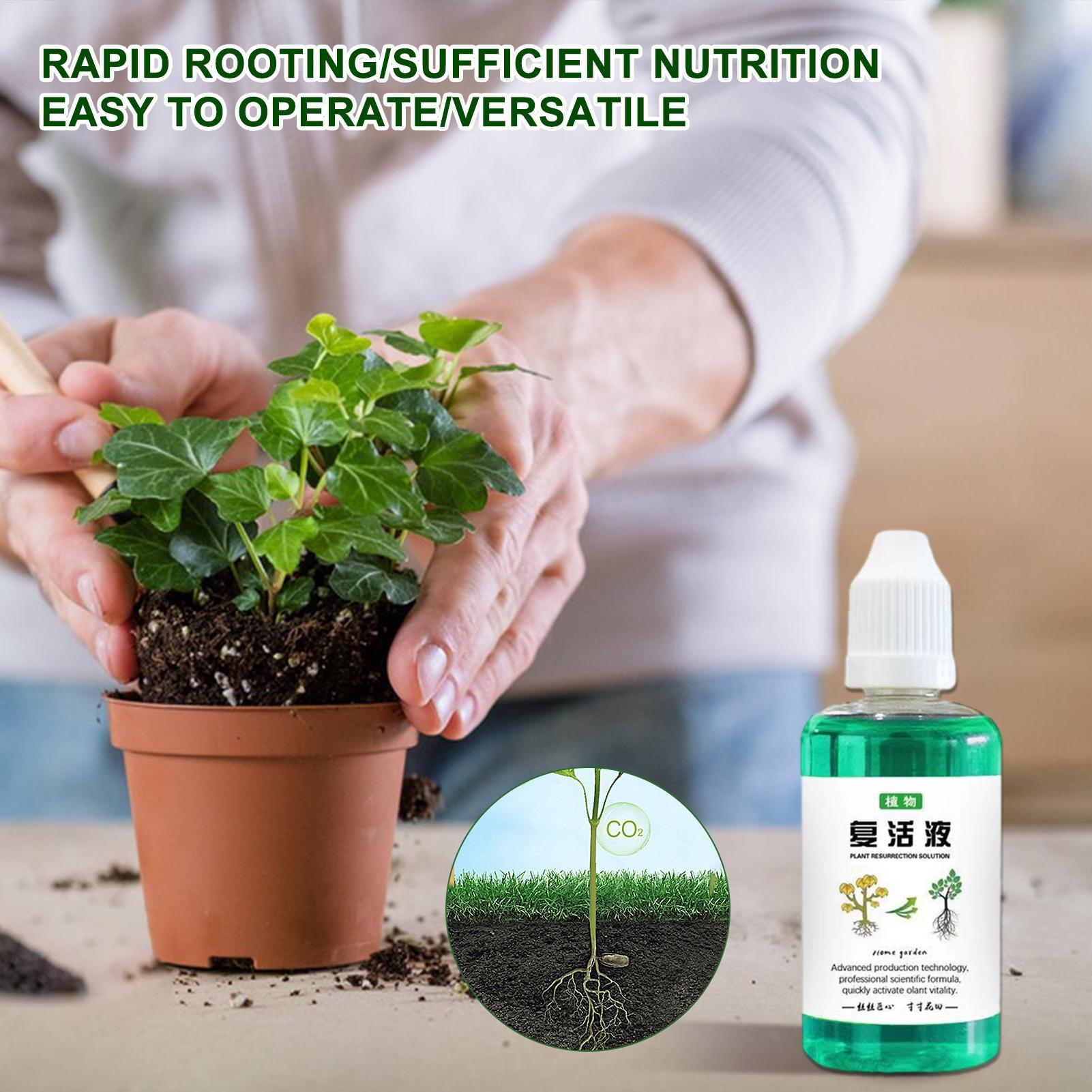 Estimulador de Raízes 50ml: Lí - Root Stimulator Liquid avaliação e preço