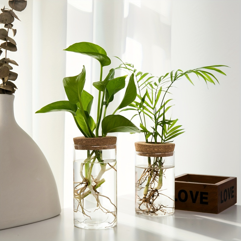 Hidroponia Plantas Vaso para D - Propagation Station Vase avaliação e preço