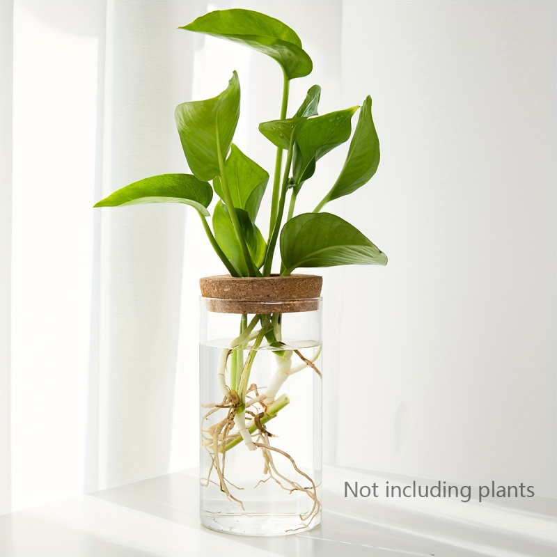 Hidroponia Plantas Vaso para D - Propagation Station Vase avaliação e preço