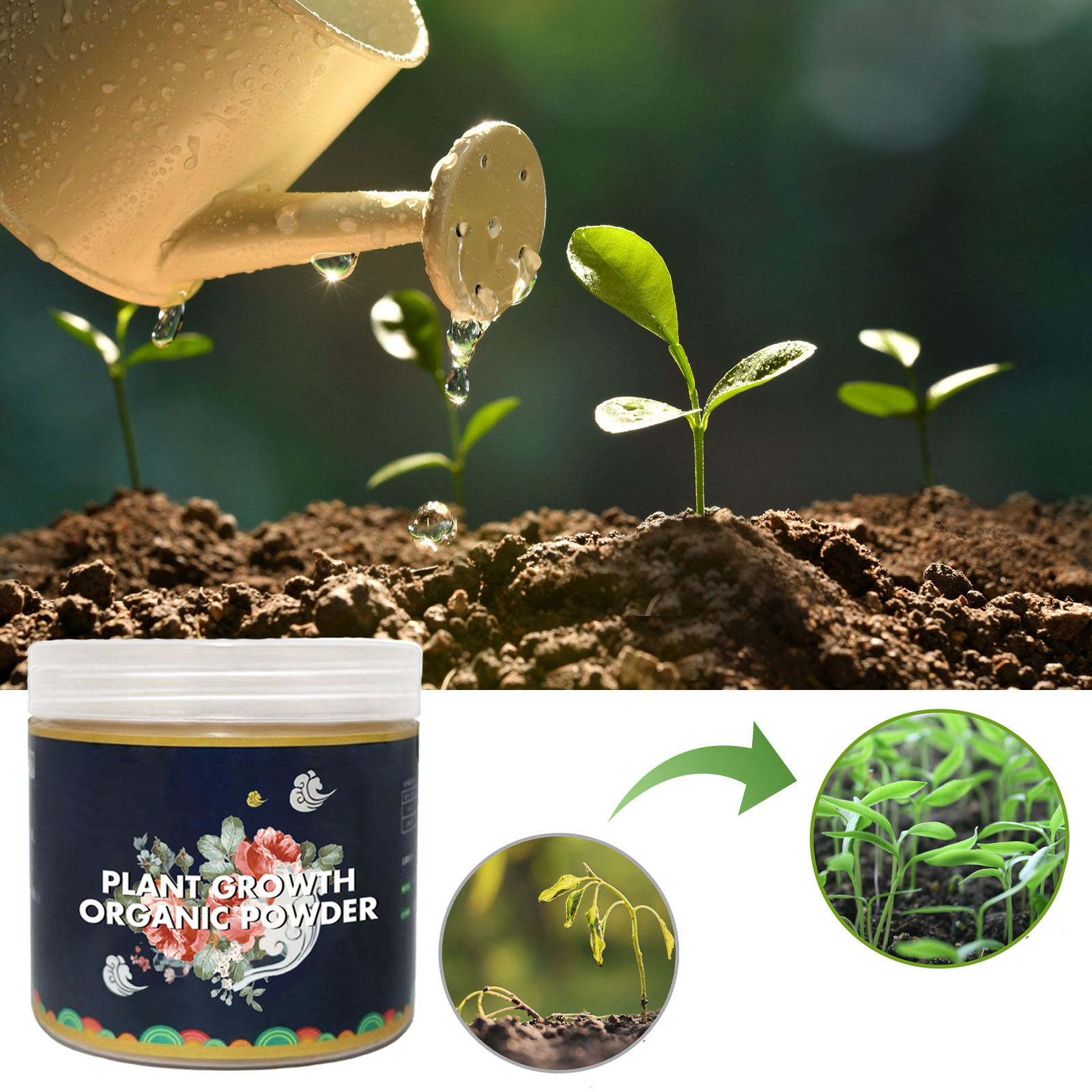 Pó de enraizamento rápido para - Rooting Hormone Powder avaliação e preço