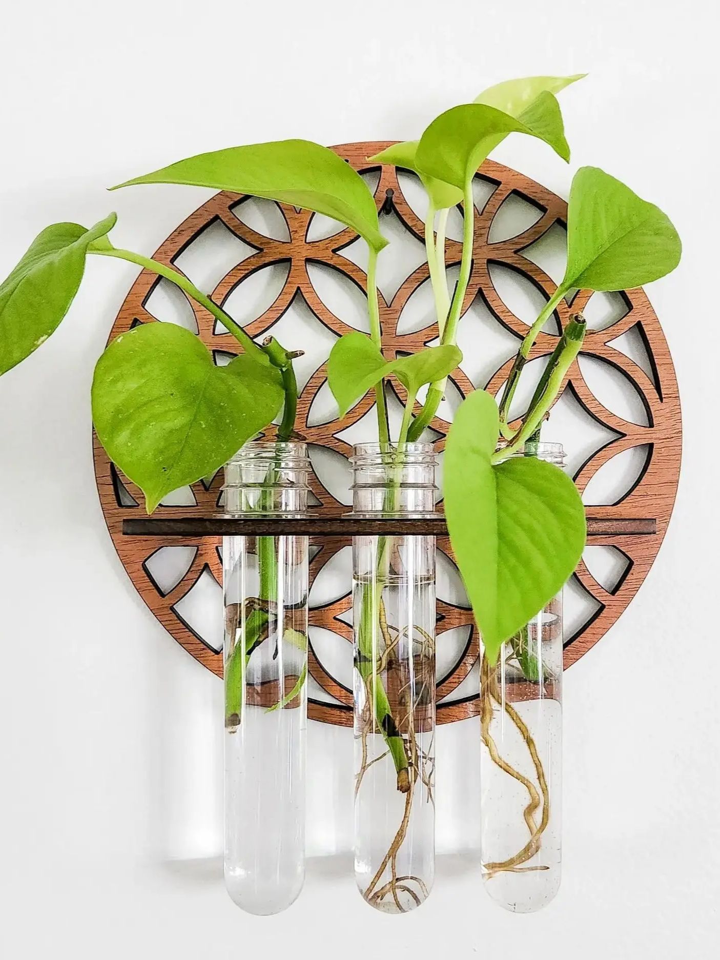 Jardim plantadores de parede i - Propagation Station Vase avaliação e preço