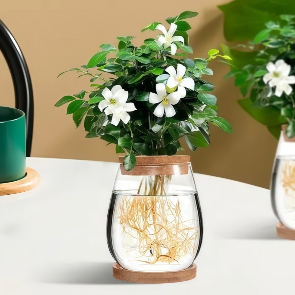 Vaso Hidropônico Transparente  - Propagation Station Vase avaliação e preço