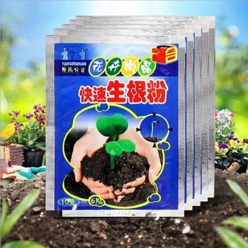 5 pçs pó de enraizamento rápid - Rooting Hormone Powder avaliação e preço