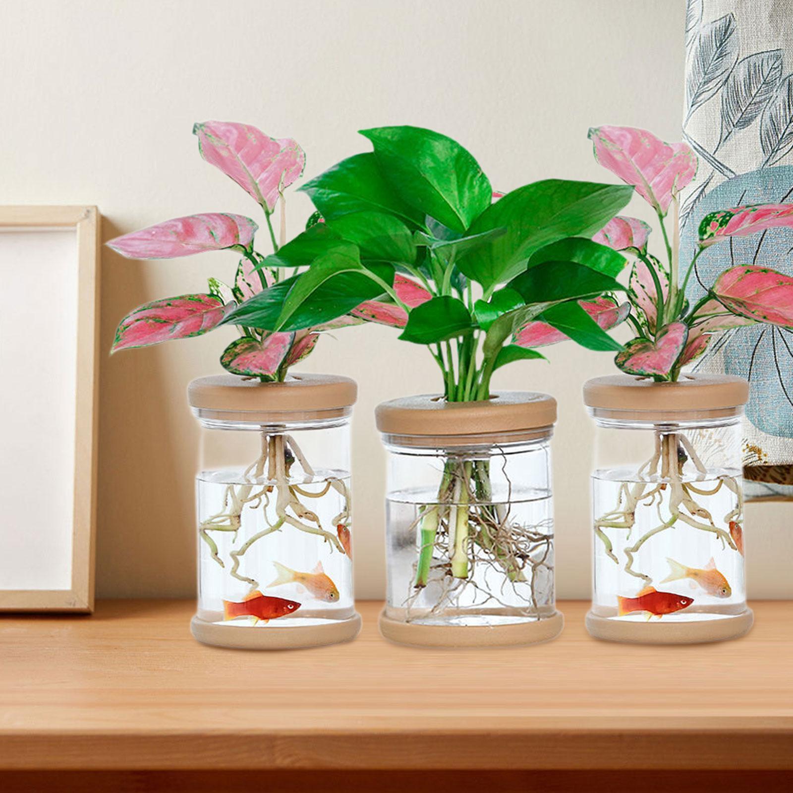 3 unidades de vasos de flores  - Propagation Station Vase avaliação e preço