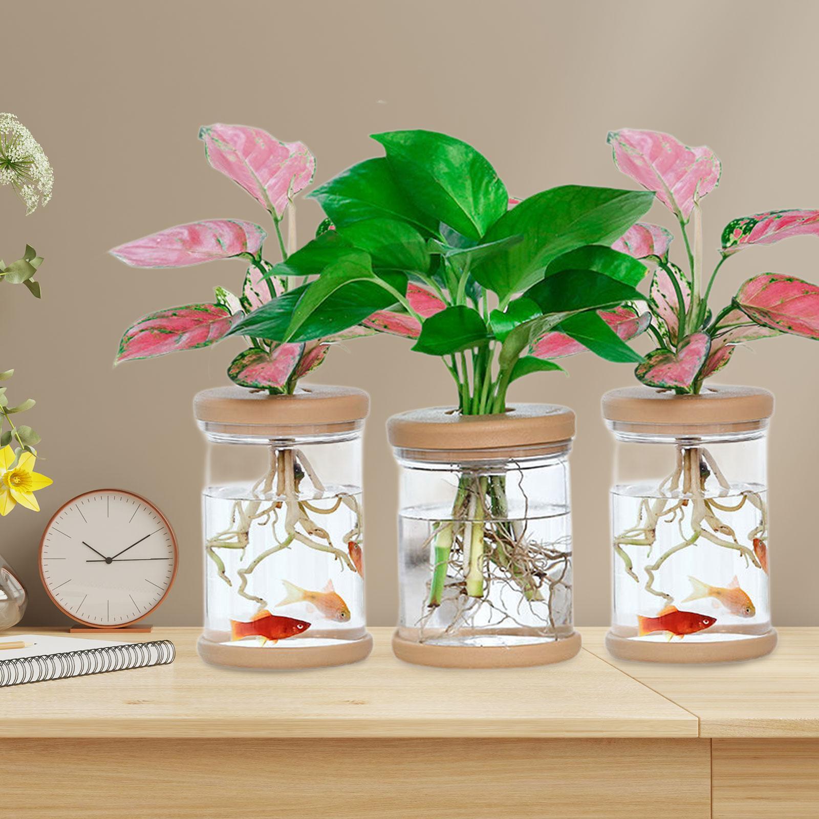 3 unidades de vasos de flores  - Propagation Station Vase avaliação e preço