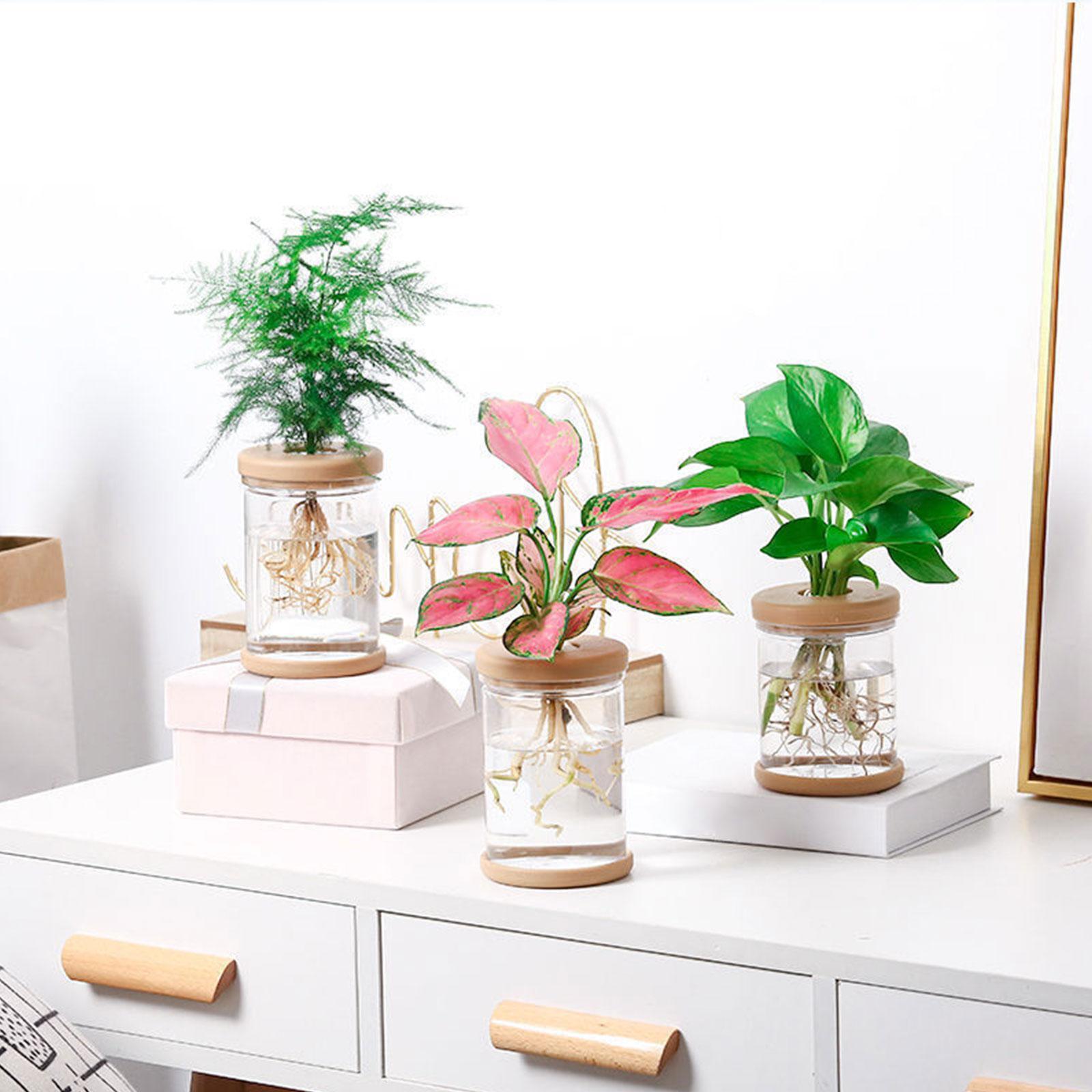 3 unidades de vasos de flores  - Propagation Station Vase avaliação e preço
