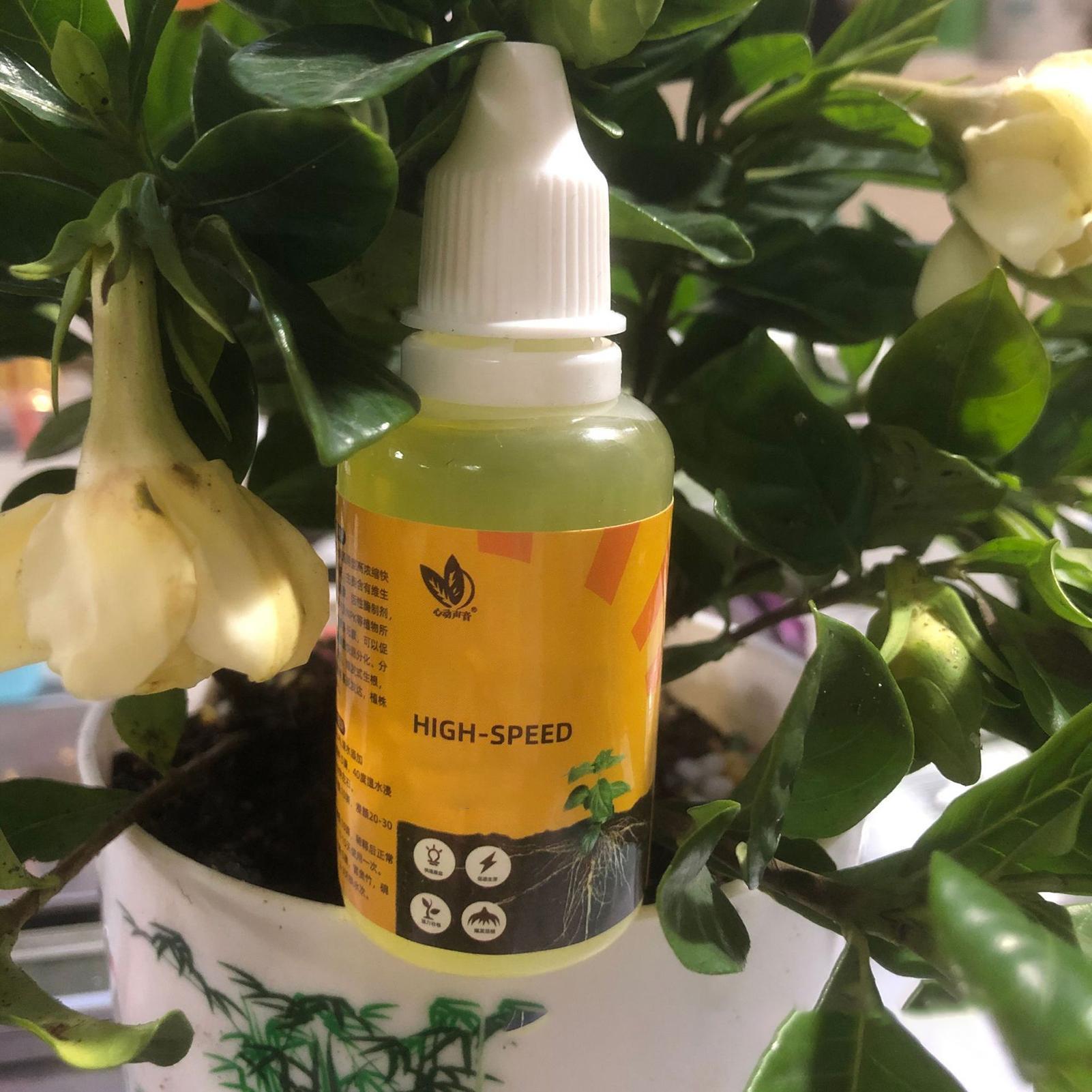 50ml estimulador de enraizamen - Root Stimulator Liquid avaliação e preço