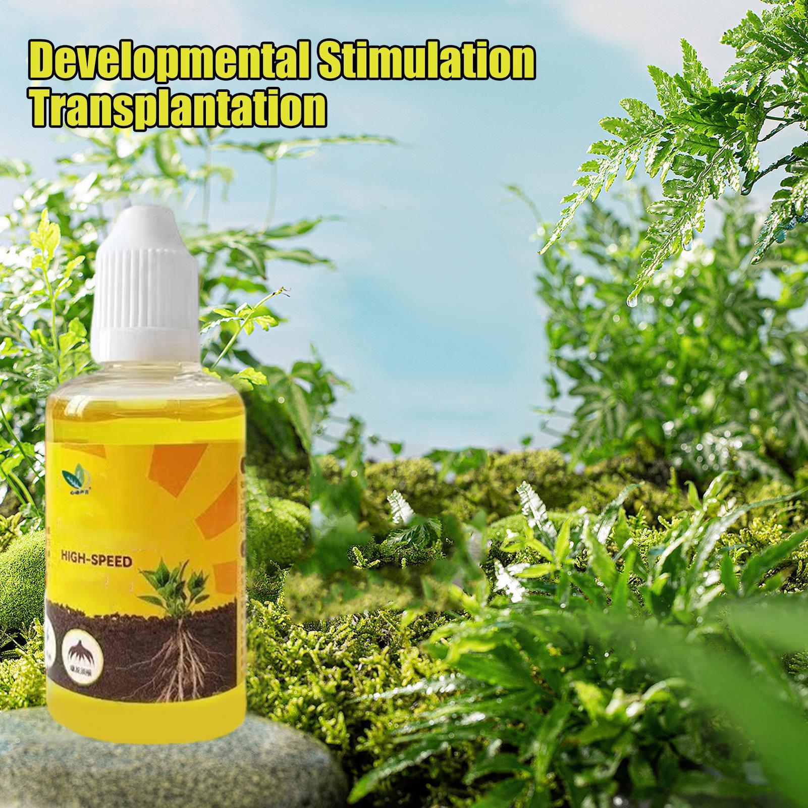 Líquido de ressurreição de pla - Root Stimulator Liquid avaliação e preço