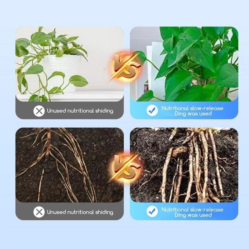 Pó de hormona de enraizamento  - Rooting Hormone Powder avaliação e preço