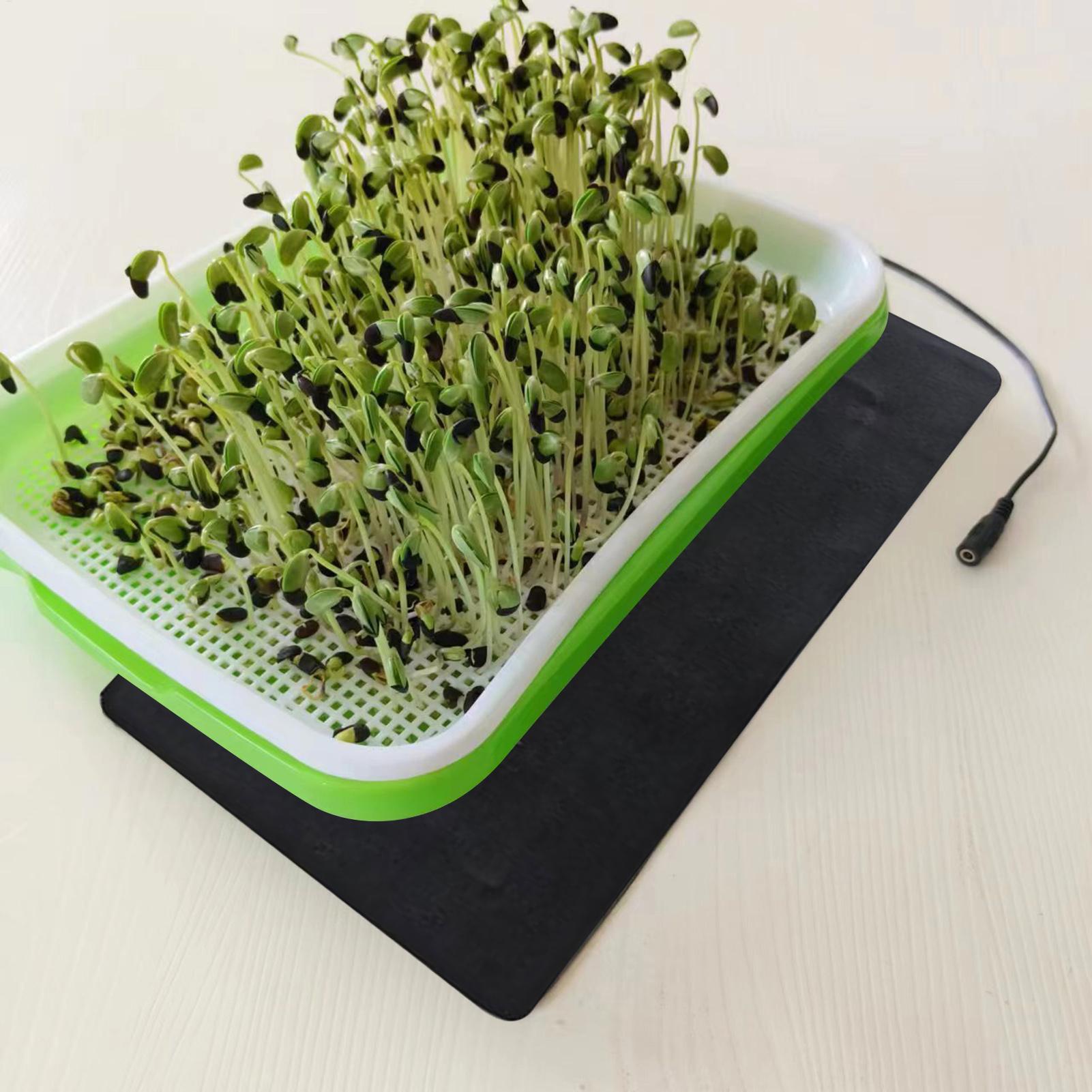 Tapete Térmico para Sementes 5 - Heat Mat Seedling avaliação e preço