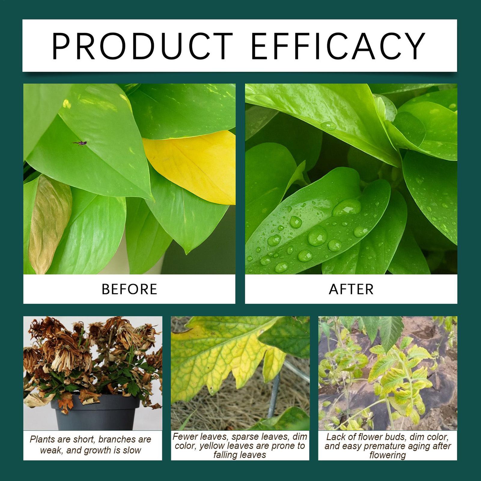 Gotas líquidas para enraizamen - Root Stimulator Liquid avaliação e preço